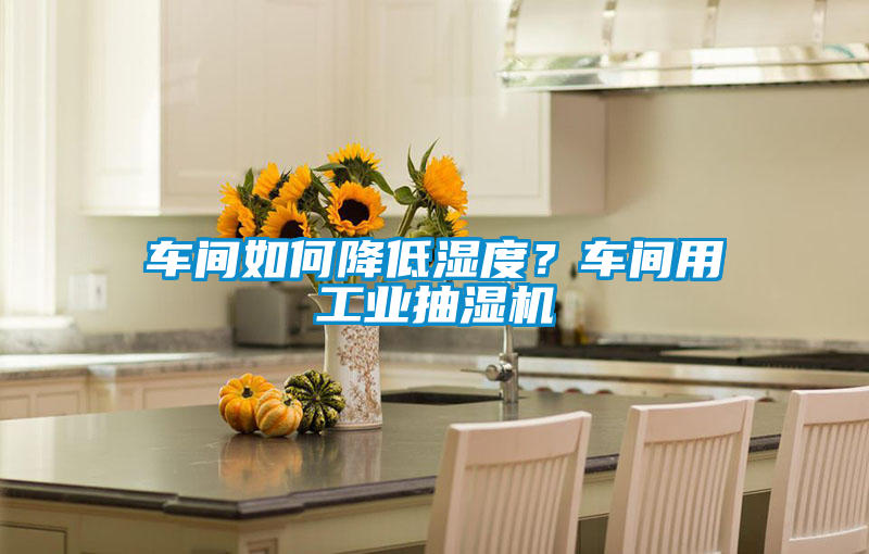 車間如何降低濕度?車間用工業抽濕機