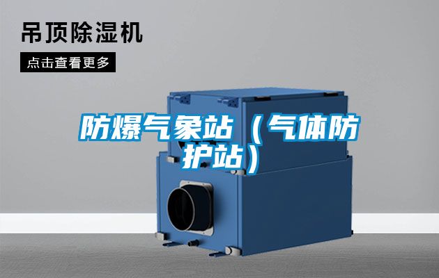 防爆氣象站(氣體防護站)
