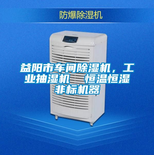 益陽市車間除濕機，工業抽濕機  恒溫恒濕非標機器