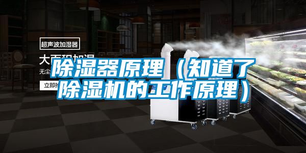 除濕器原理(知道了除濕機的工作原理)