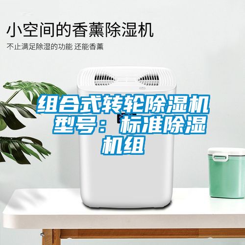 組合式轉(zhuǎn)輪除濕機 型號:標準除濕機組