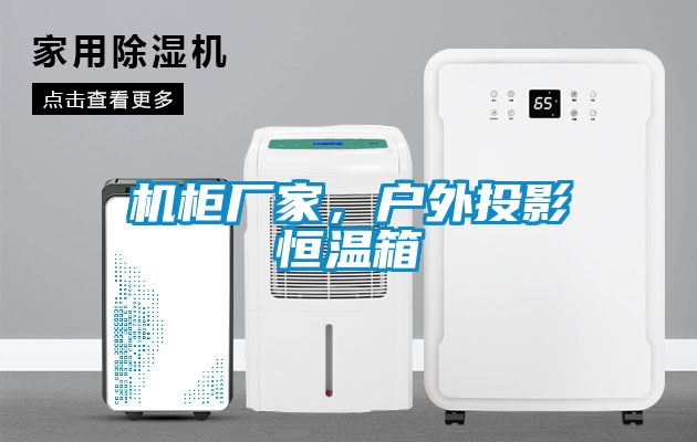 機柜廠家,戶外投影恒溫箱
