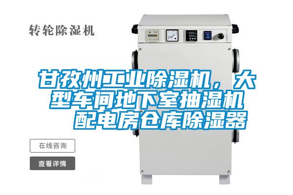 甘孜州工業(yè)除濕機(jī)，大型車間地下室抽濕機(jī)  配電房倉庫除濕器