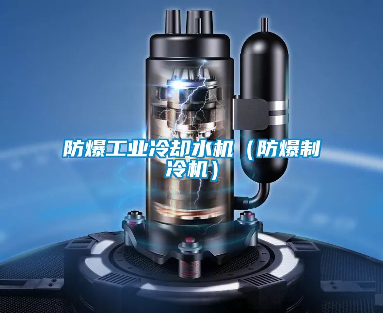 防爆工業(yè)冷卻水機(防爆制冷機)