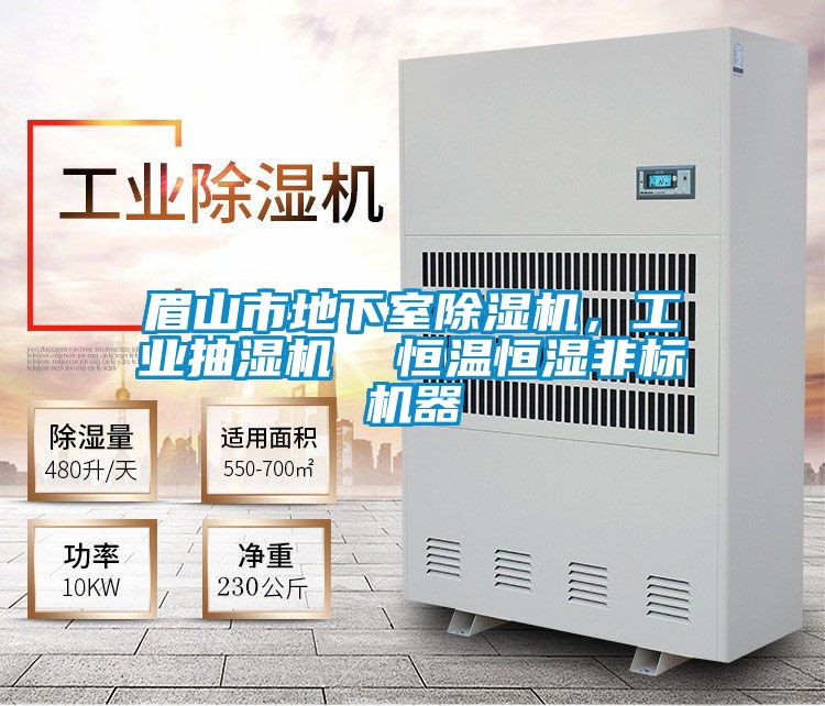 眉山市地下室除濕機,工業抽濕機 恒溫恒濕非標機器