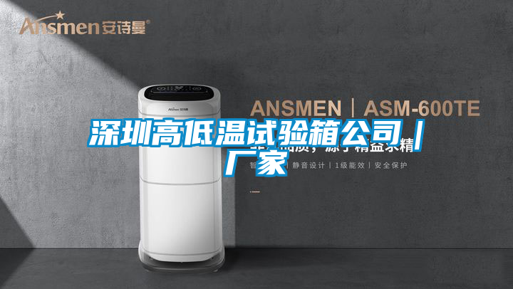深圳高低溫試驗箱公司|廠家