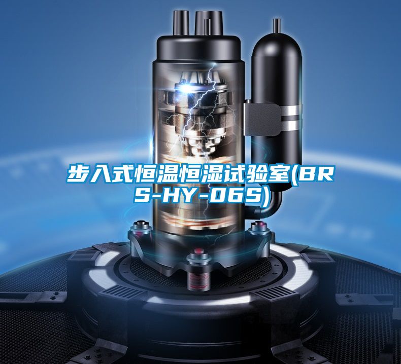 步入式恒溫恒濕試驗室(BRS-HY-06S)