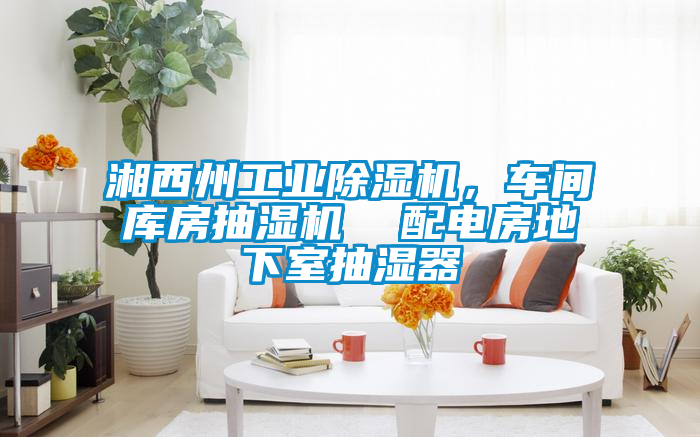 湘西州工業(yè)除濕機(jī)，車間庫房抽濕機(jī)  配電房地下室抽濕器
