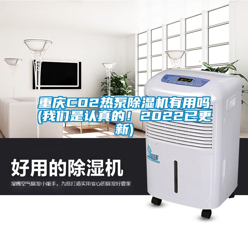 重慶CO2熱泵除濕機有用嗎(我們是認真的!2022已更新)