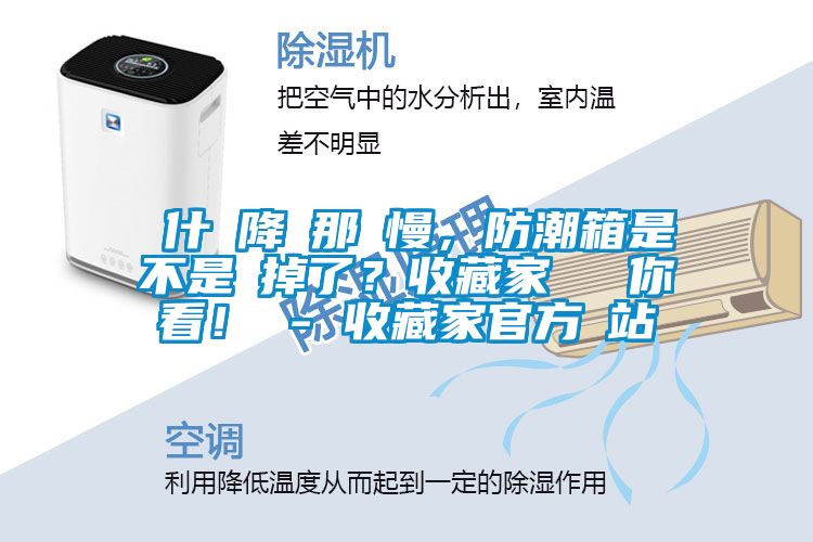 為什麼降濕那麼慢,防潮箱是不是壞掉了?收藏家實測給你看! - 收藏家官方網站