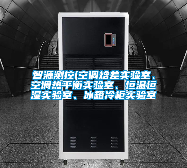 智源測(cè)控(空調(diào)焓差實(shí)驗(yàn)室、空調(diào)熱平衡實(shí)驗(yàn)室、恒溫恒濕實(shí)驗(yàn)室、冰箱冷柜實(shí)驗(yàn)室