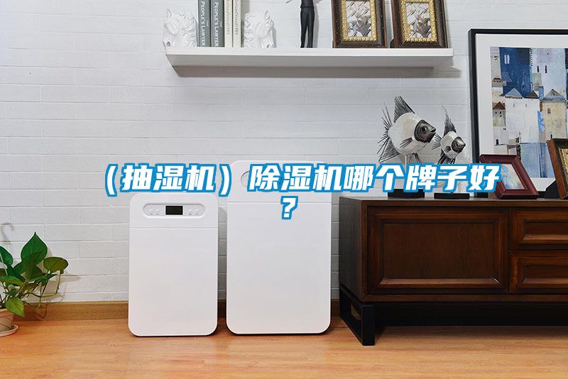 (抽濕機(jī))除濕機(jī)哪個牌子好?